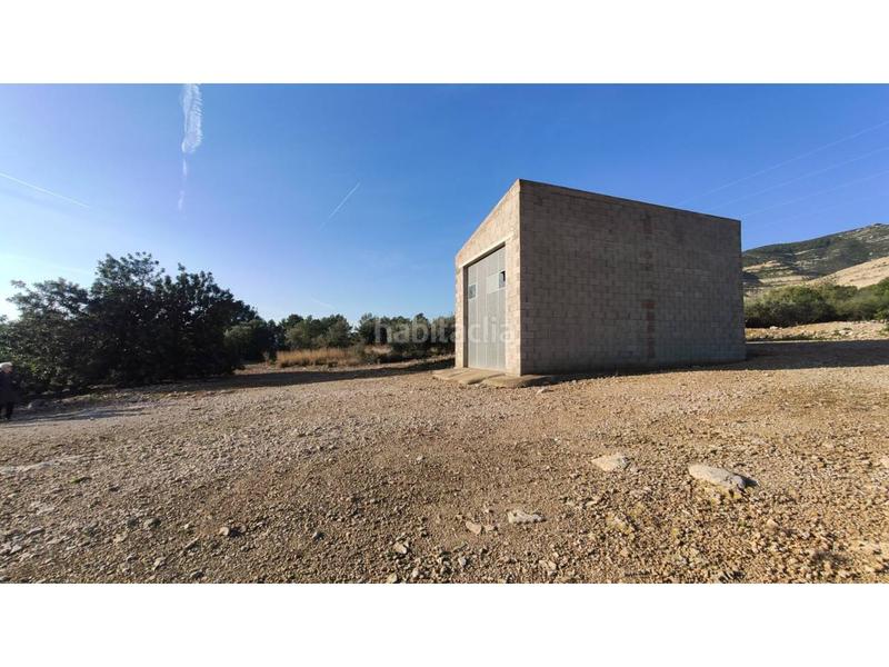 Foto 4e0dcd0c-7e1f-4b21-9f63-b897133ae2f6. Fondo rustico in Alcanar