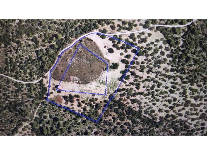 Foto 7d6580e6-ca9c-4e2a-84c9-5568158b2c04. Fondo rustico in Alcanar