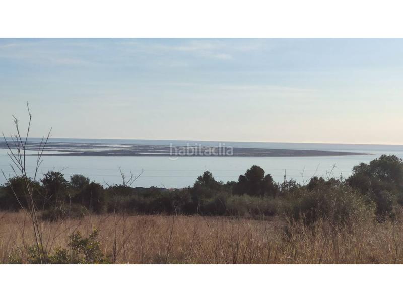 Foto c35aff5b-f1ac-4571-8c10-c44a41c755bc. Fondo rustico in Alcanar