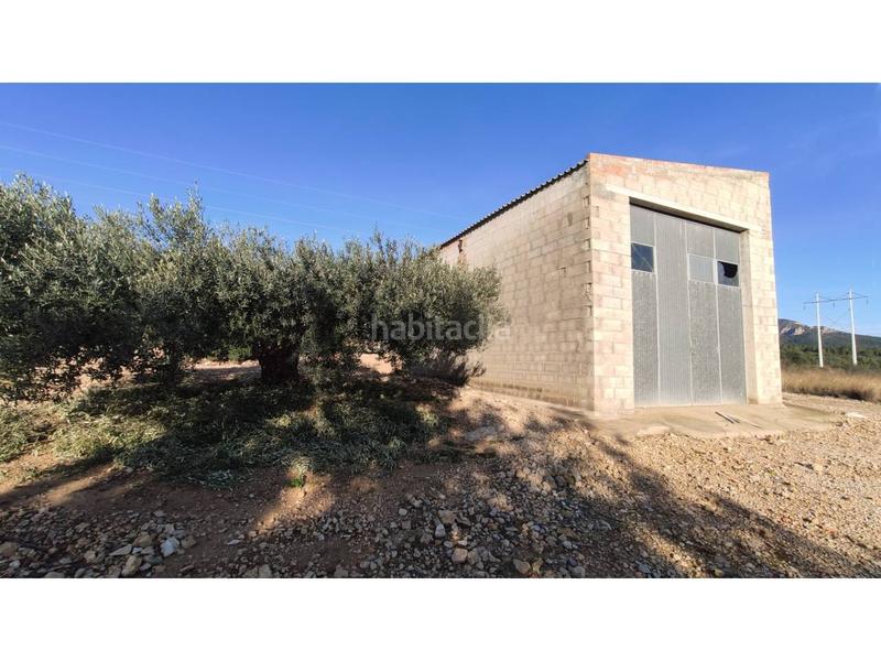 Foto eeb6291a-ab1f-40a5-ba9d-c61c3144bd77. Fondo rustico in Alcanar