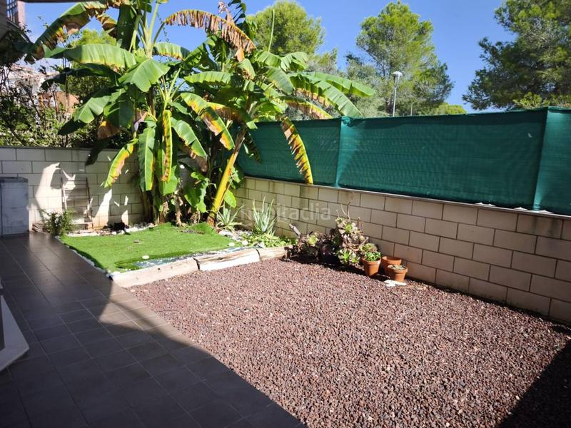 Foto 30dac24e-7320-4414-b92f-7128690d27cb. Alquiler piso fantástico piso 2 habitaciones a estrenar. en Alcanar