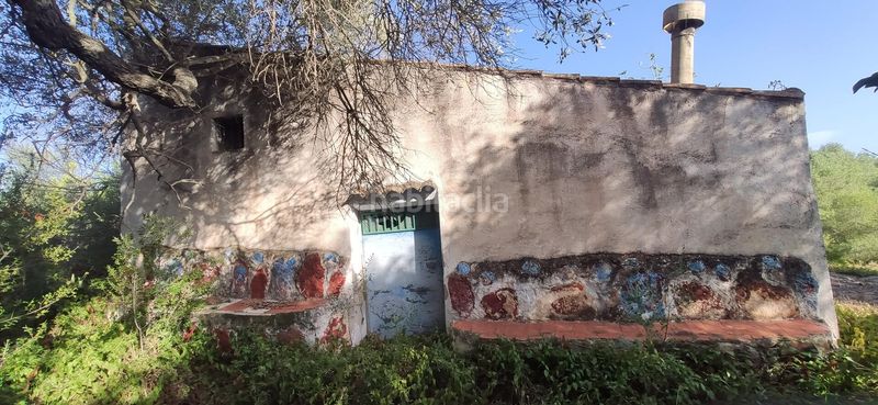 Foto 01290b51-902a-44e4-827f-73c5aee1a401. Masia a Eucaliptus - Poble Nou del Delta Amposta