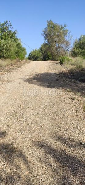 Foto eea609e8-5e34-48b1-b615-f18656a84654. Masia a Eucaliptus - Poble Nou del Delta Amposta