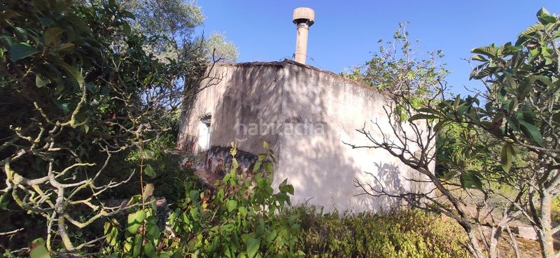 Foto f919b8fd-3a9b-49a8-b52d-2a9c95488317. Masia a Eucaliptus - Poble Nou del Delta Amposta