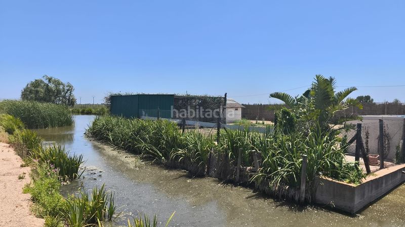 Foto ba4f1b6f-e002-4c5a-b212-a2f4ab902d5f. Masia amb aparcament a Eucaliptus - Poble Nou del Delta Amposta