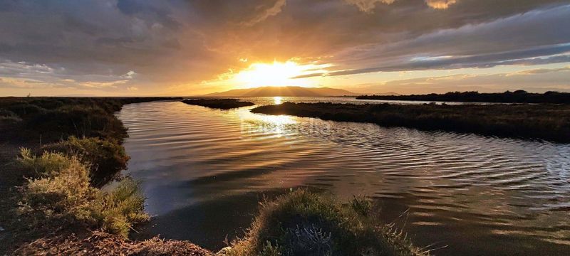 Foto 3317b603-3546-4985-af61-80399b961da6. Casa a Eucaliptus - Poble Nou del Delta Amposta