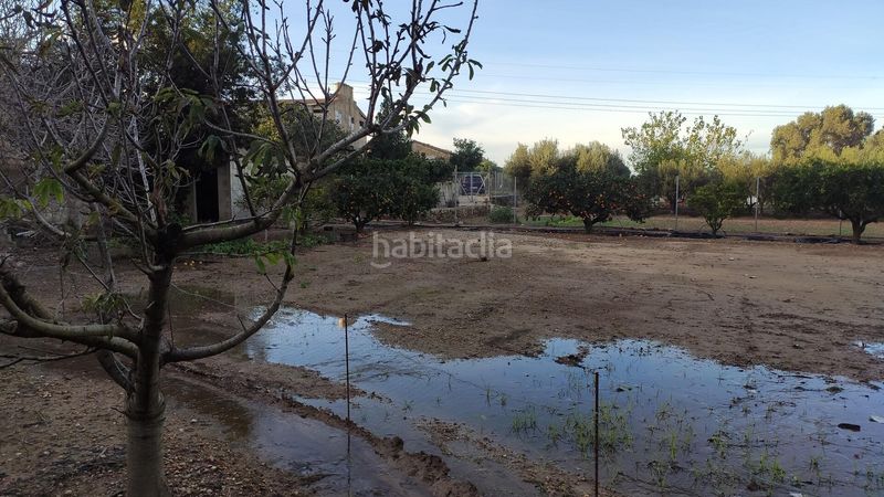 Foto 1bf6a6c1-a9ed-4816-8f9f-c7d4b1c5bd3d. Masia a Casc Antic Amposta