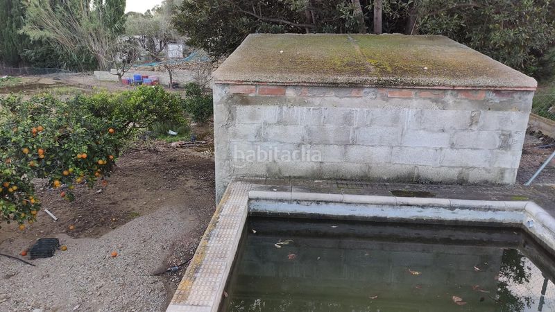 Foto 55ed667a-ed27-4d9f-90c7-935aede3ca02. Masia a Casc Antic Amposta