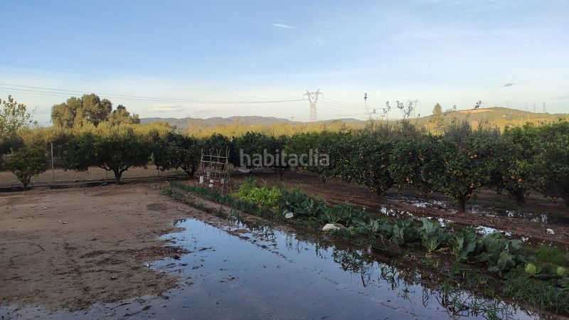 Foto c3b81c0b-97d9-49d5-8850-a1c52dd87861. Masia a Casc Antic Amposta