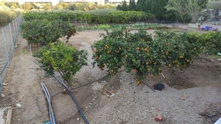 Mas à Casc Antic. Terreno en venta en amposta para cultivar tus plantas