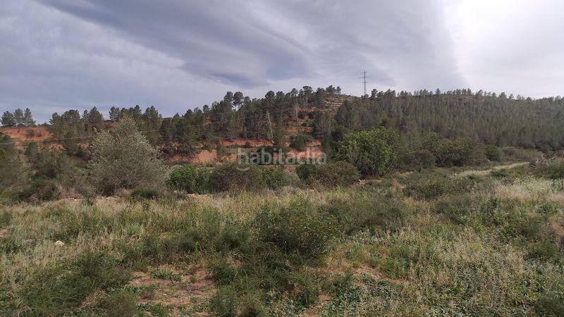 Foto 480b110c-c37f-42c9-85ce-261eb037478d. Masia a Xerta