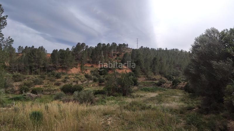 Foto b6d7cf2f-d391-484a-b54d-3ec673eef0c6. Masia a Xerta