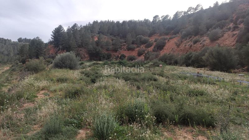 Foto c5ab5906-2768-458d-bda4-9e1964e7fbf2. Masia a Xerta