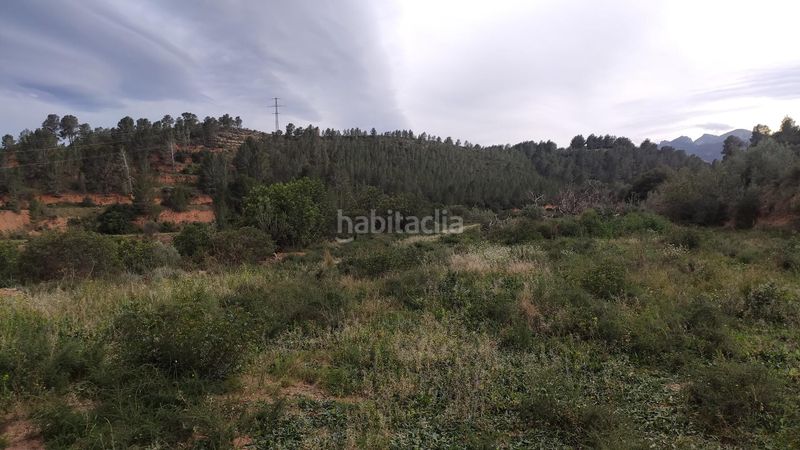 Foto e1e355a0-e89d-415e-a95f-72bda5cf918b. Masia a Xerta