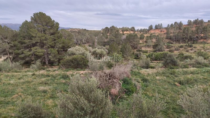Foto f1aa2e2a-b35b-4ac9-ab4d-cc01c413ae02. Masia a Xerta