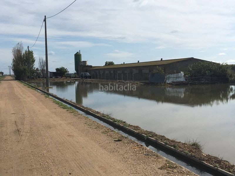 Foto 32ef9d15-e32a-4a74-adc7-6b6f085a5085. Fabrikhalle in Eucaliptus - Poble Nou del Delta Amposta