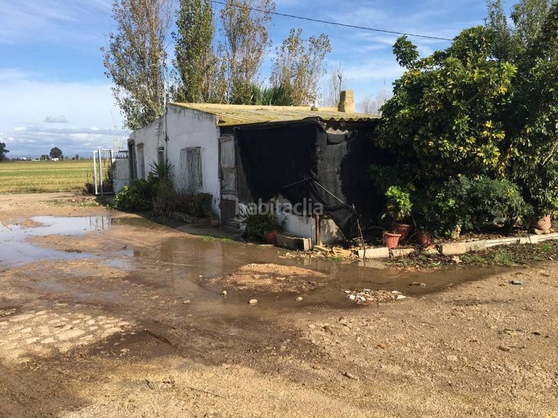 Foto 4f741216-c7e4-4b9b-956d-f52cbaad4a36. Fabrikhalle in Eucaliptus - Poble Nou del Delta Amposta