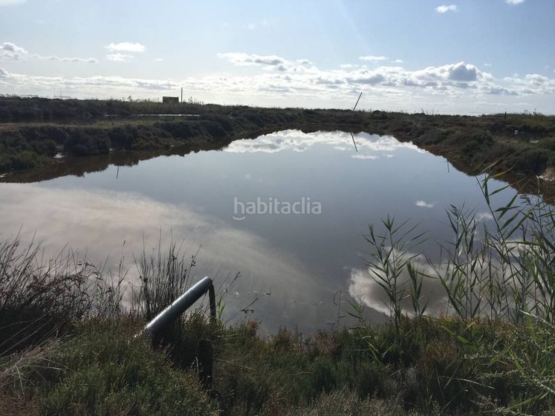 Foto 51d73517-2ad9-438c-b5f1-0387cf283c66. Fabrikhalle in Eucaliptus - Poble Nou del Delta Amposta