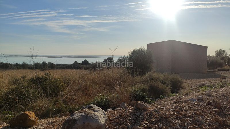 Foto 1f2f8d5e-cf12-434f-9456-3b4d56eeb25c. Finca rústica a Alcanar