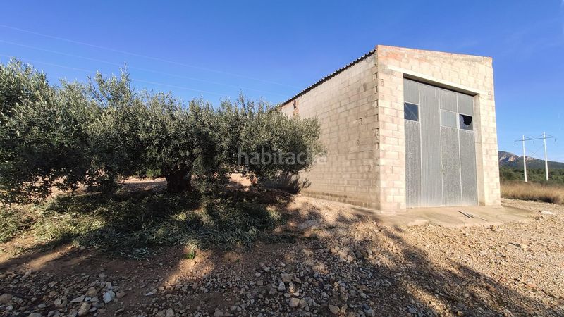 Foto 20a62c9a-b849-47b7-acf8-cb26fe8c16bd. Finca rústica a Alcanar