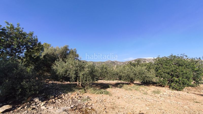 Foto 294cf9ba-7bc5-4182-8a67-83ce8dd63ee1. Finca rústica a Alcanar