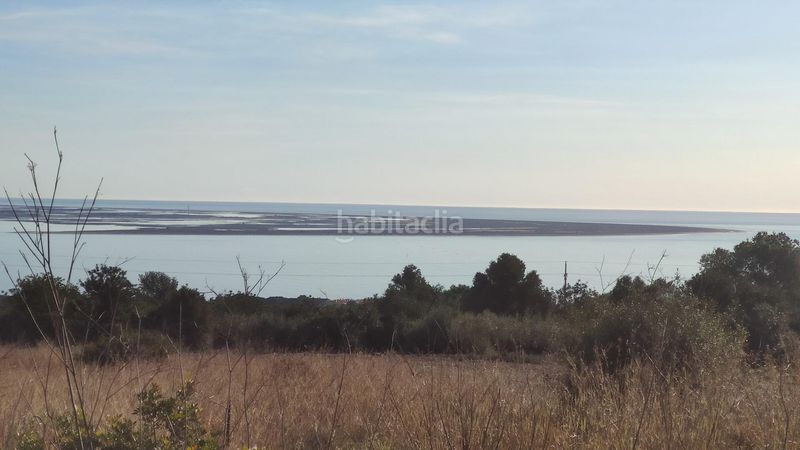 Foto 2d8209d6-f83d-43da-8a67-a5e6c59a3809. Finca rústica a Alcanar