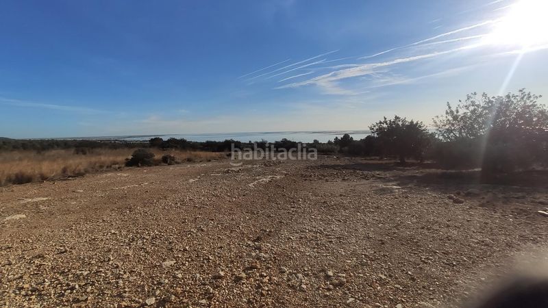 Foto 4467f61c-f897-4cd0-8017-f5d88c1a0506. Finca rústica a Alcanar