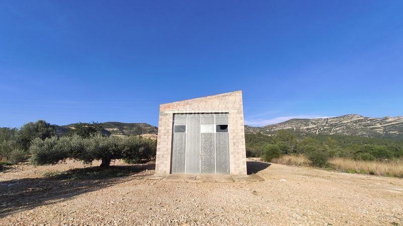 Foto 6704d491-1695-426d-8661-cd43638e5d0d. Finca rústica a Alcanar