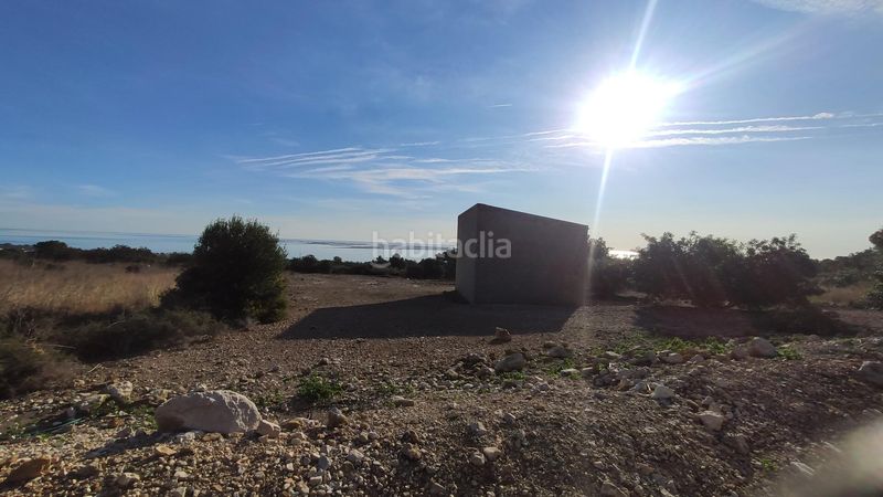 Foto c8c04c5e-96f7-4cd0-8082-d902be2d79cf. Finca rústica a Alcanar