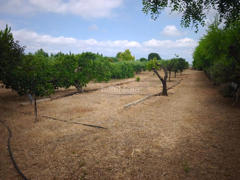 Foto 7385d659-ac53-419a-8fdf-069f46431754. Masía finca rústica con casa y piscina en Masdenverge