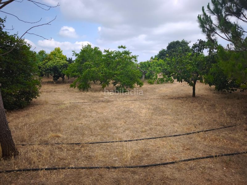 Foto fecb8775-faa5-40c1-bc66-96260a382ec2. Masía finca rústica con casa y piscina en Masdenverge