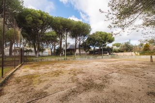 Terreny residencial a Pino Alto-Navarredonda