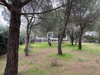 Residential Plot in Guadarrama. Estimado cliente,nos complace presentarle una oportunidad única