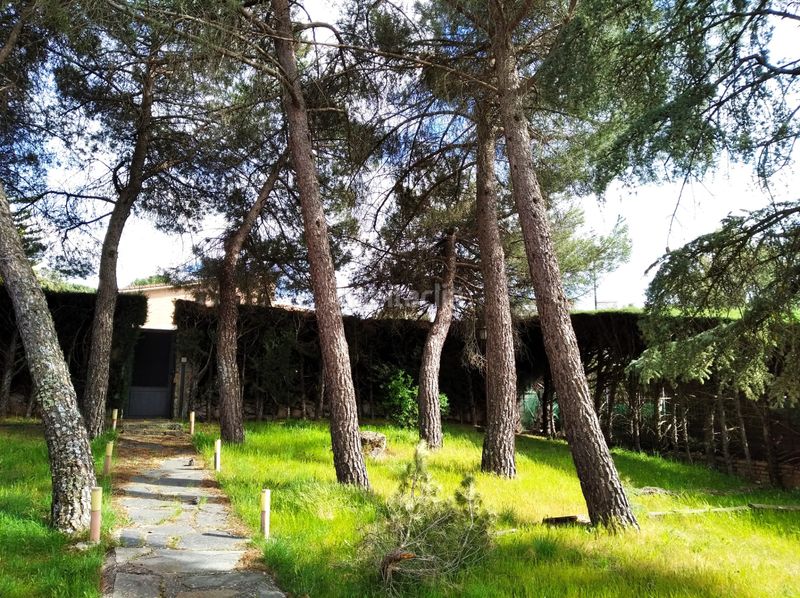 Foto e4ac3e34-5eb6-475e-b851-b8358d75f47b. Chalet con camino riscaldamento parcheggio piscina in Hoyo de Manzanares