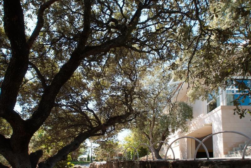 Foto 6a1a2e65-3425-4f41-8a2e-e81ebaeef9cf. Chalet con camino riscaldamento piscina in Ciudalcampo