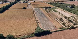 Finca rstica  Calle ojalvo. Estupenda finca de regado.
un paraje idlico enclavada en real
