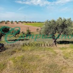 Landgut  Diseminado mv 3114 titulcia 75. Se vende esta increíble finca, más de 19.000 m²