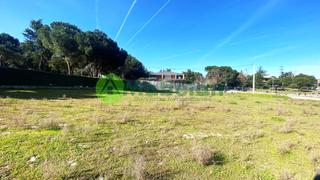Terreny residencial a Pinar de las Rozas. Las rozas, el pinar, parcela llana de 1500m2