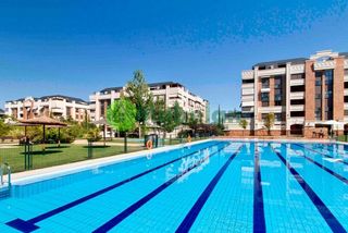 Rent Flat in Monte el Pilar