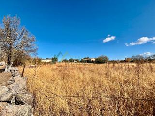 Terreny residencial a Torreiglesias. Se vende bonita parcela urbana y llana  de 2.365 m² en losana de