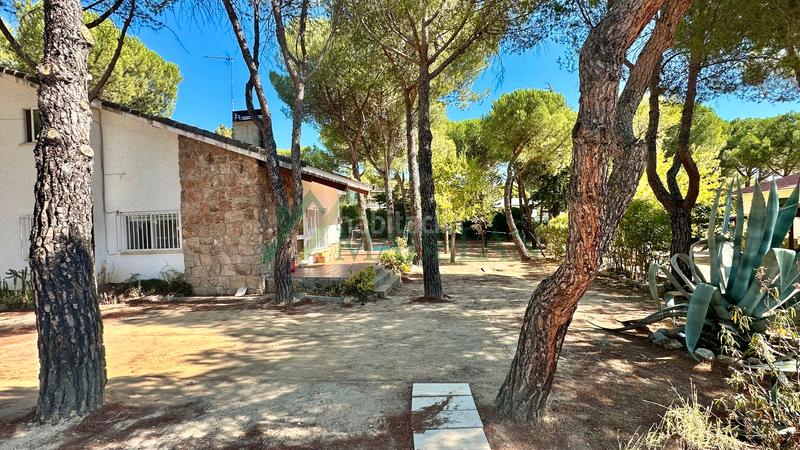 Foto 4da8f8d4-fd5e-44cb-a8ec-48cba531eb05. Terreno residenziale in El Gasco Torrelodones