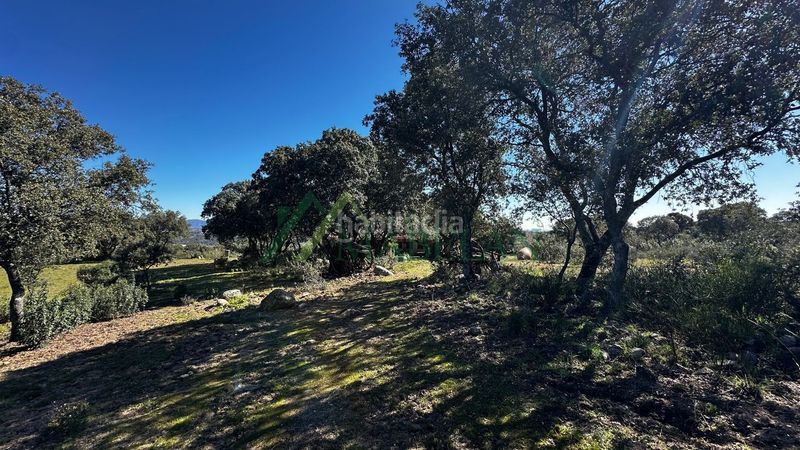 Foto e2cdbdd7-9538-4266-833b-436cb9ead375. Casa a Pino Alto-Navarredonda Valdemorillo