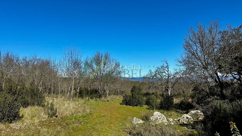 Foto f34eac95-f69c-4969-b223-fcdff981e6ef. Casa a Pino Alto-Navarredonda Valdemorillo