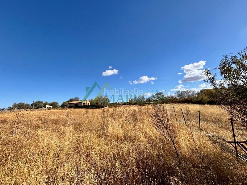 Foto c89ea786-7112-48d8-8a8b-f7a673c7f92c. Finca rústica a Torreiglesias