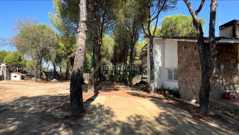 Foto caf1c0c5-e091-467f-89e1-a32e562881cd. Terreny residencial a El Gasco Torrelodones