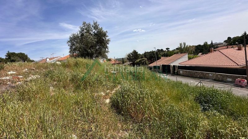 Foto 5feadcef-57c0-47a8-8a21-8481d427e8fa. Finca rústica a Las Matas-Peñascales Rozas de Madrid (Las)