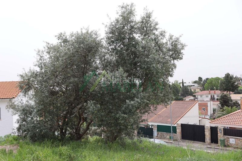 Foto 88ccedd7-e397-4384-b87f-1b29a742f7ee. Finca rústica a Las Matas-Peñascales Rozas de Madrid (Las)