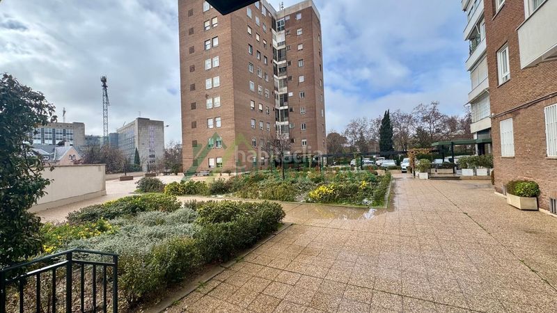 Foto 5de70f39-456a-4b02-99ab-03b692df7375. Pis a El Viso Madrid