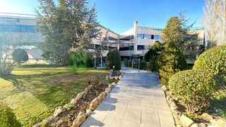 Alquiler Oficina en El Pinar-Punta Galea