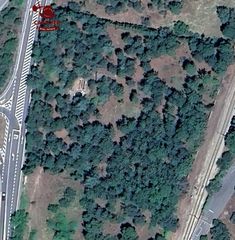 Landgut in Molinos (Los). Terreno de 10.117m2 con vivienda de 75m2 rodeado de un precioso